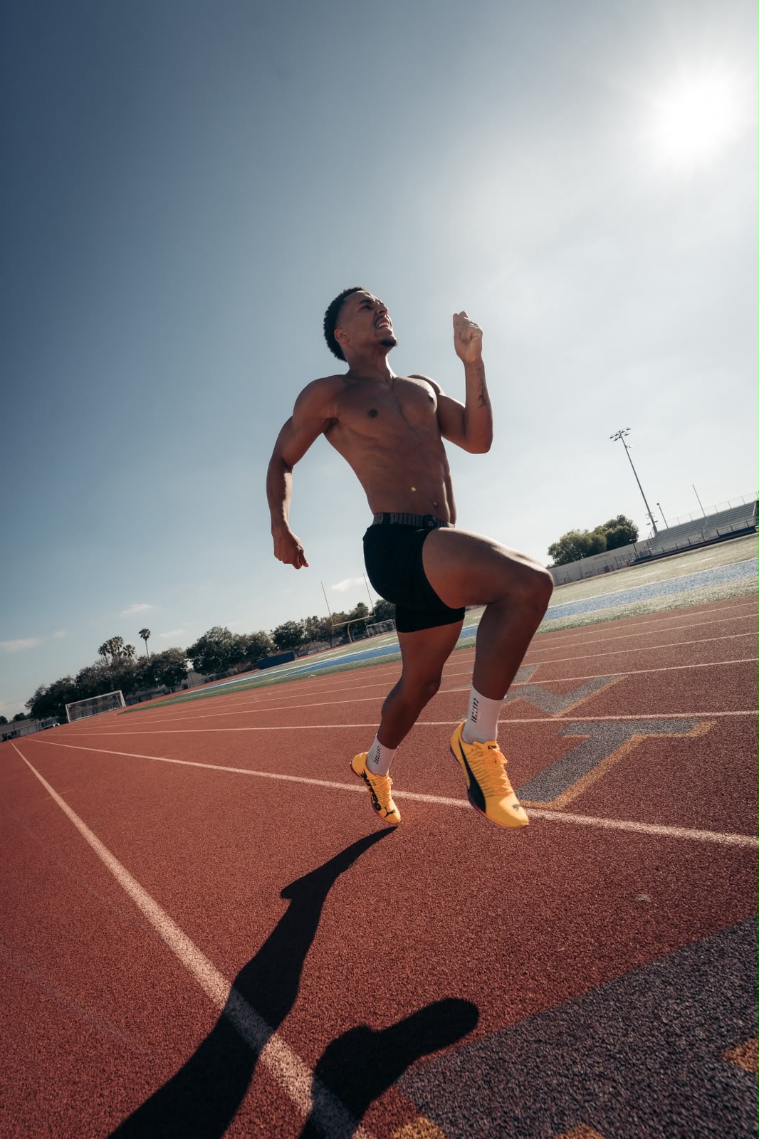 The Speed Blueprint Elite